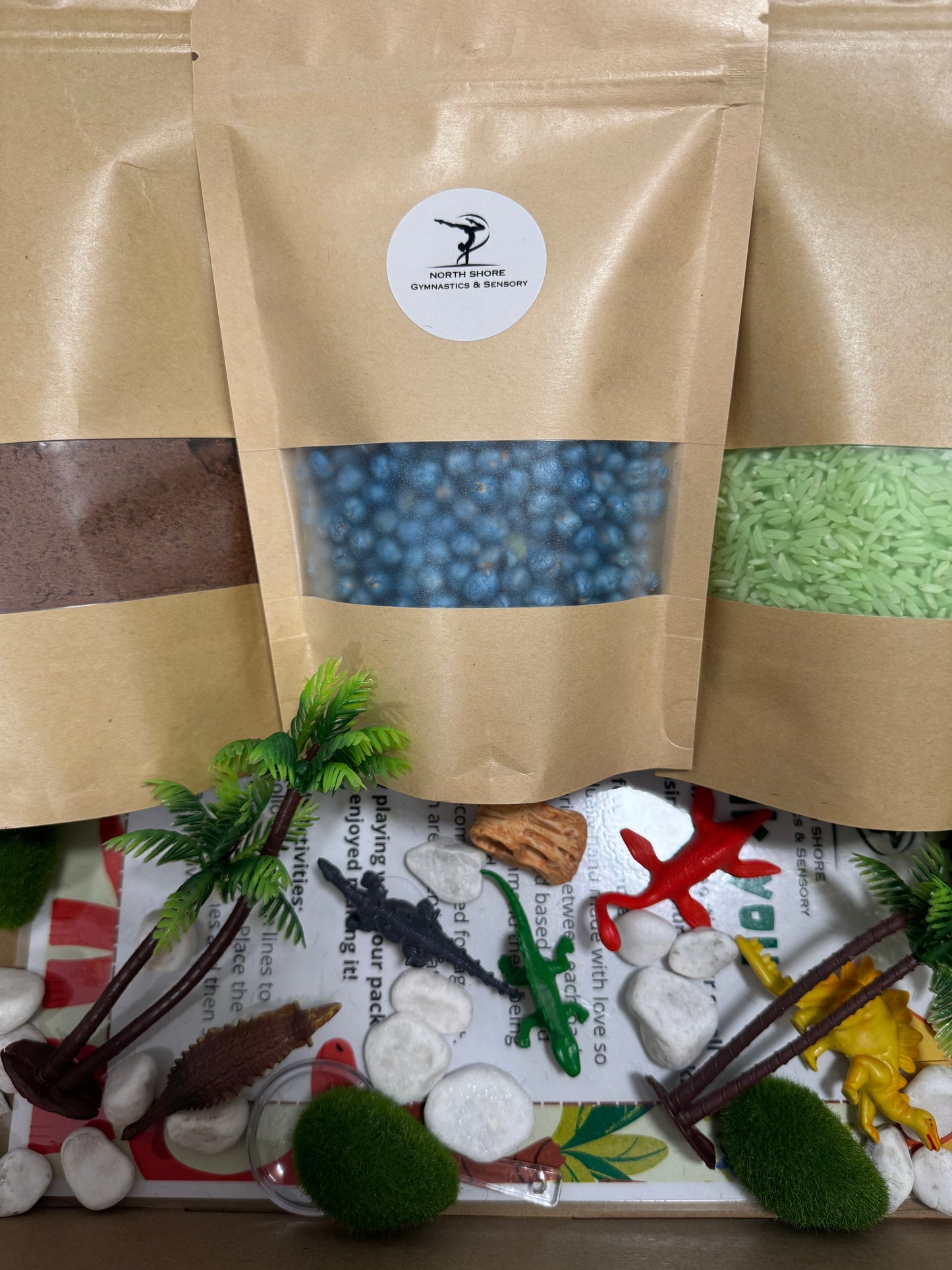 Dinosaur Sensory Pack