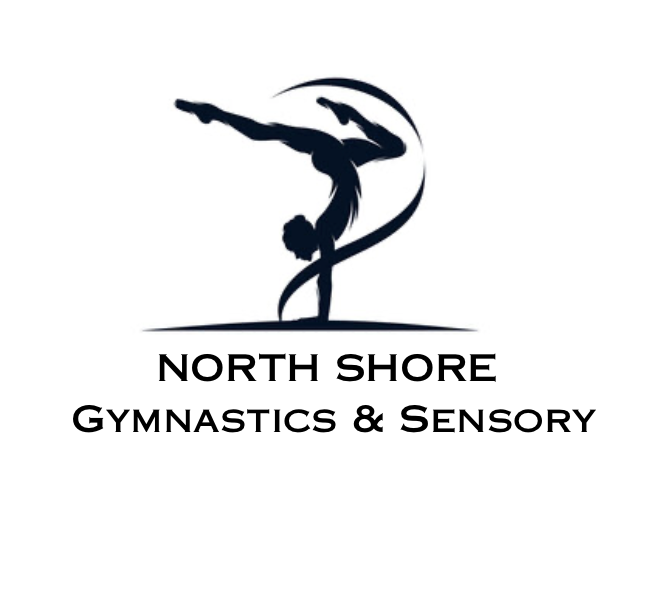 Preschool Gymnastics - Afternoon Classes